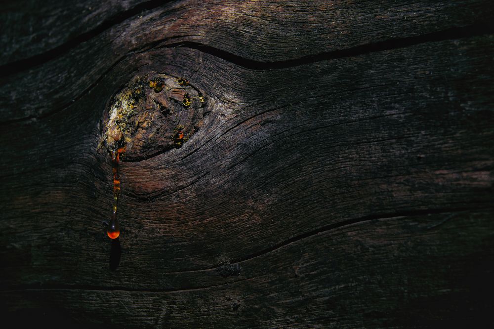 Слеза старого дома