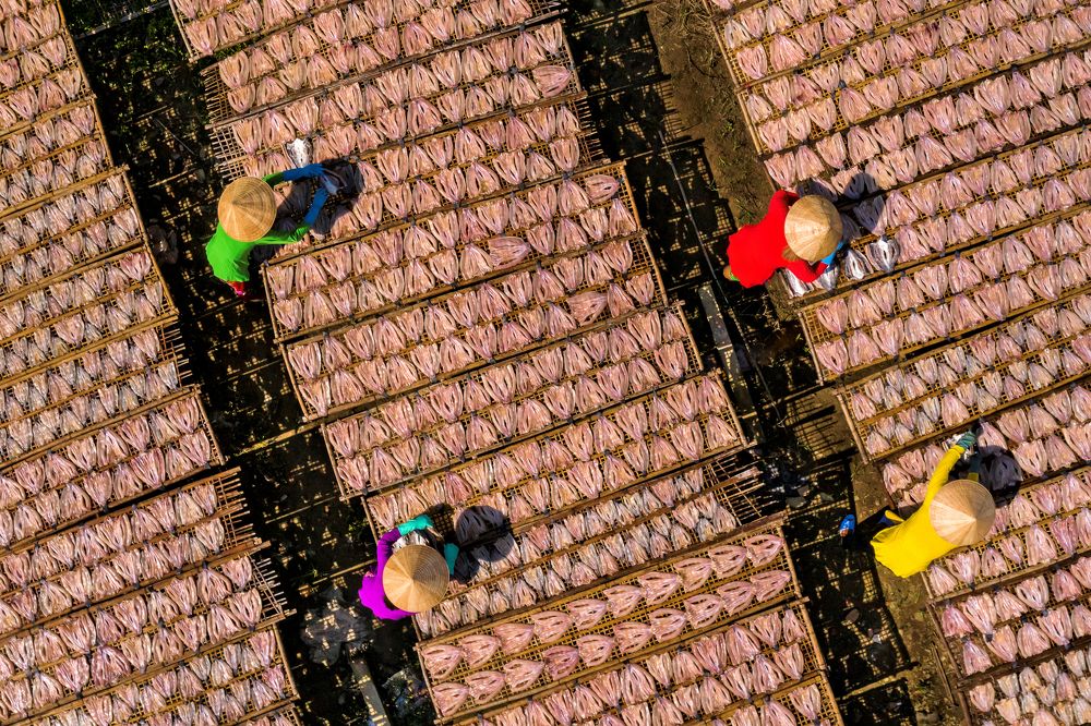 Photograph by Huynh Loc