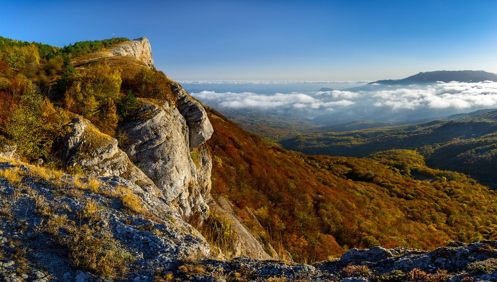 Photograph by Сергей Пестерев