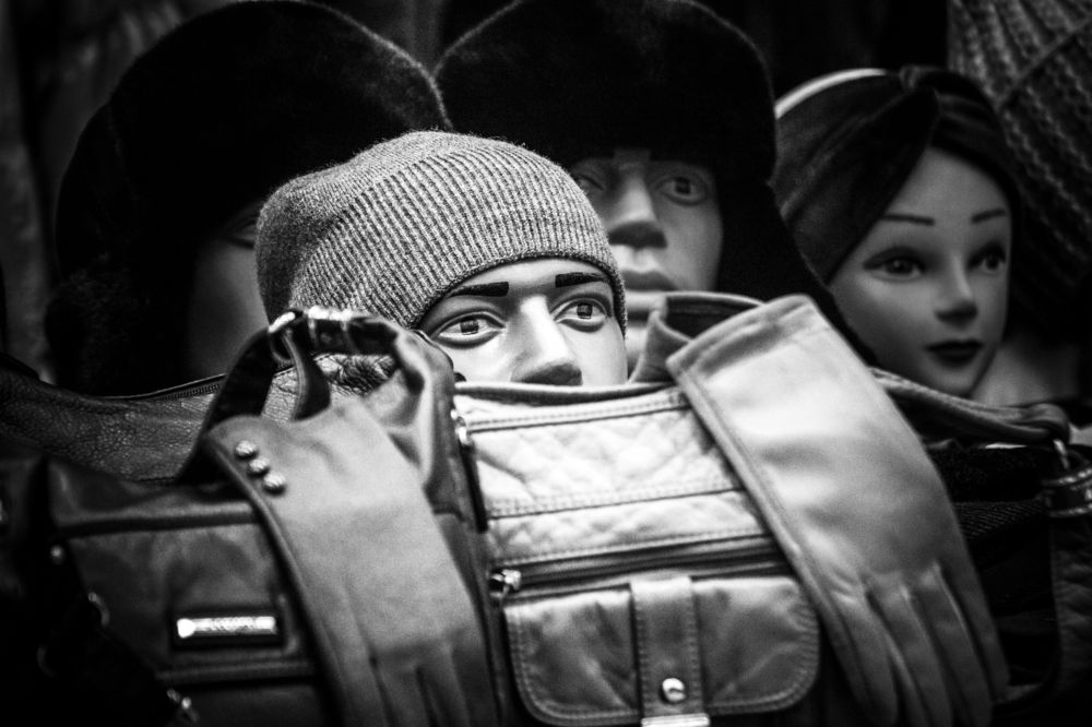 Они на нас смотрят