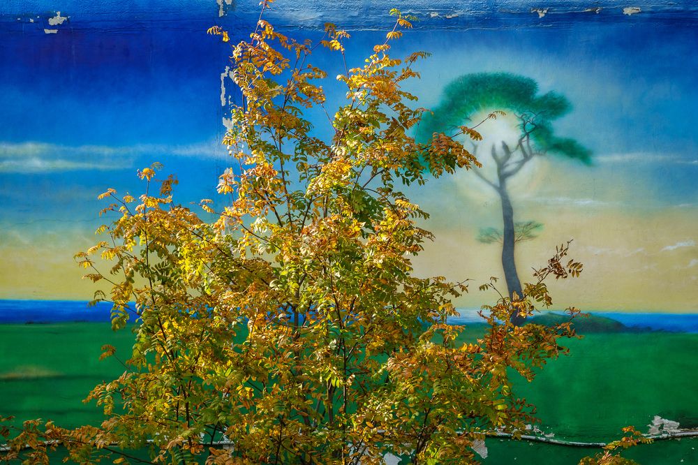 Photograph by Сергей Пестерев