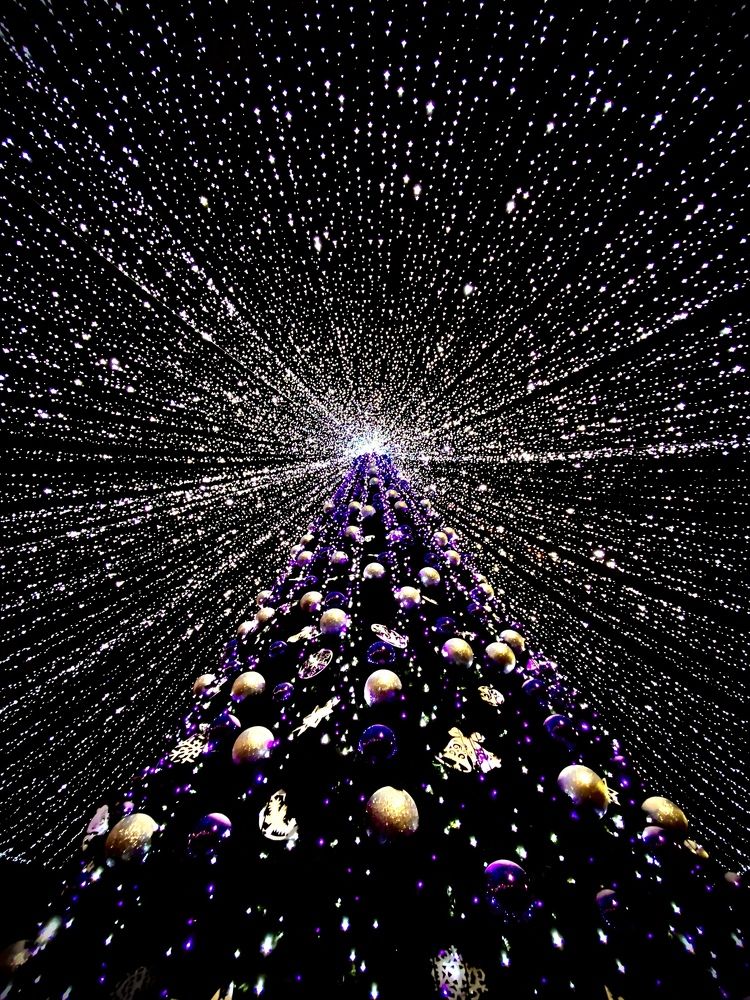 Photograph by Анастасия Матышева