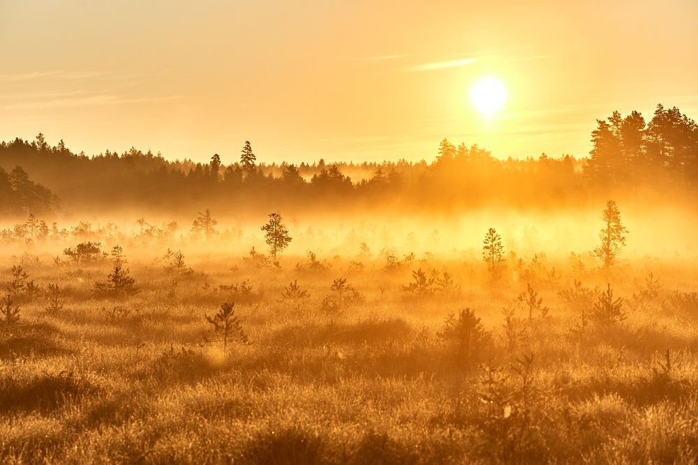 Photograph by Alla Matrosova