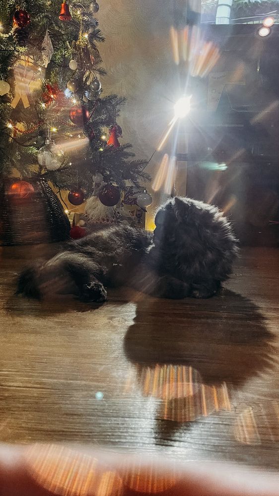 Photograph by Анна Белка