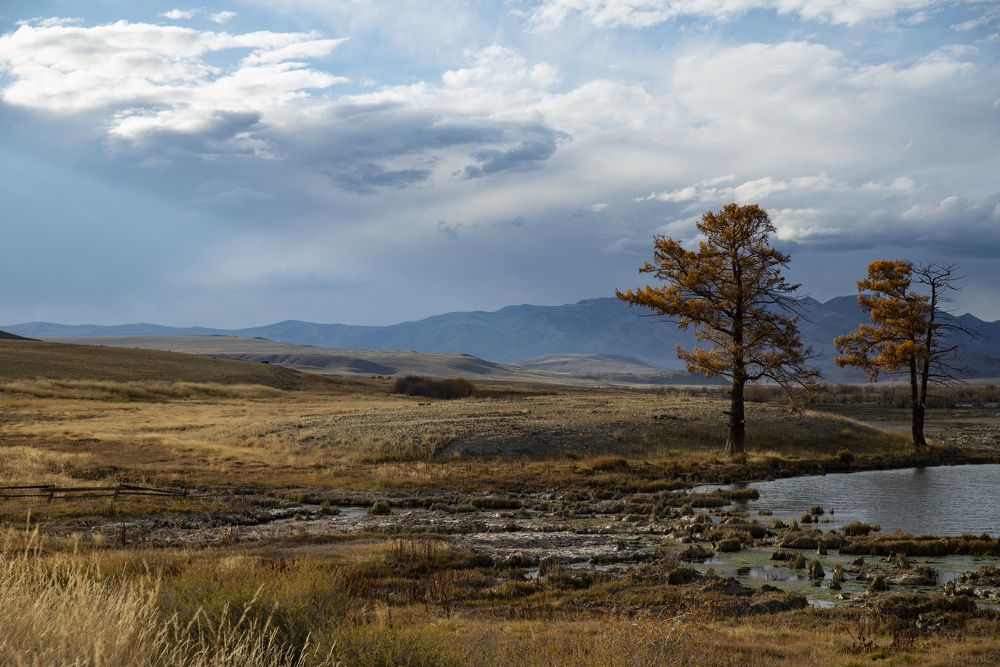 Photograph by Ольга Лукахина
