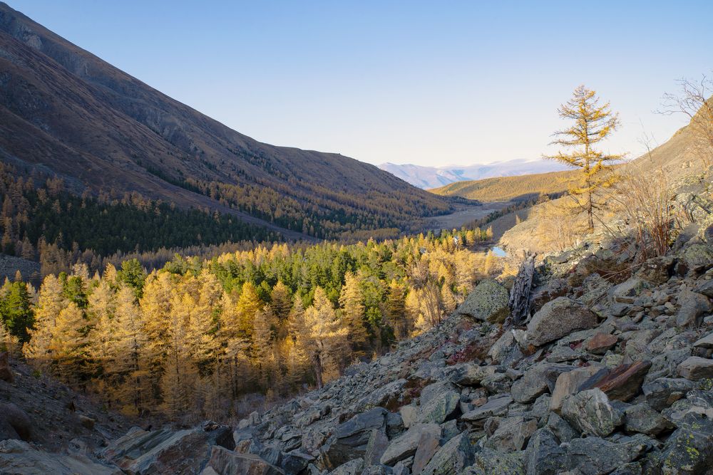 Photograph by Ольга Лукахина