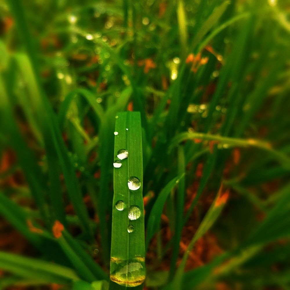 Photograph by Дмитрий Билько