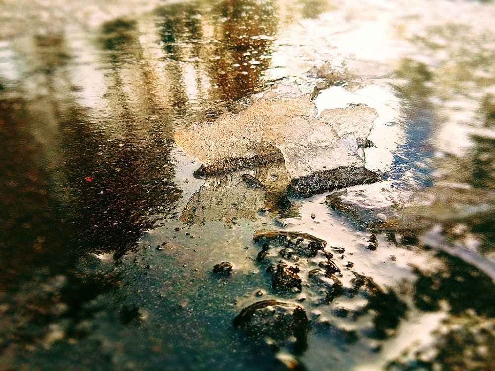 Photograph by Дмитрий Билько