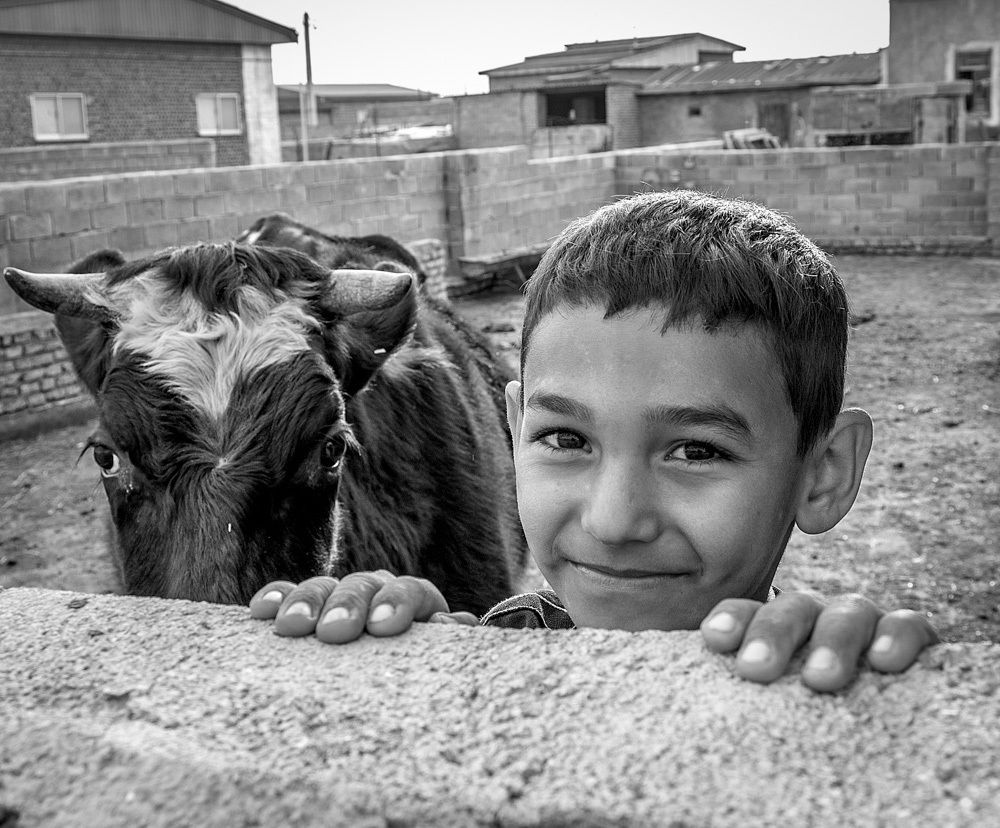 Photograph by Mohammad ATAEI