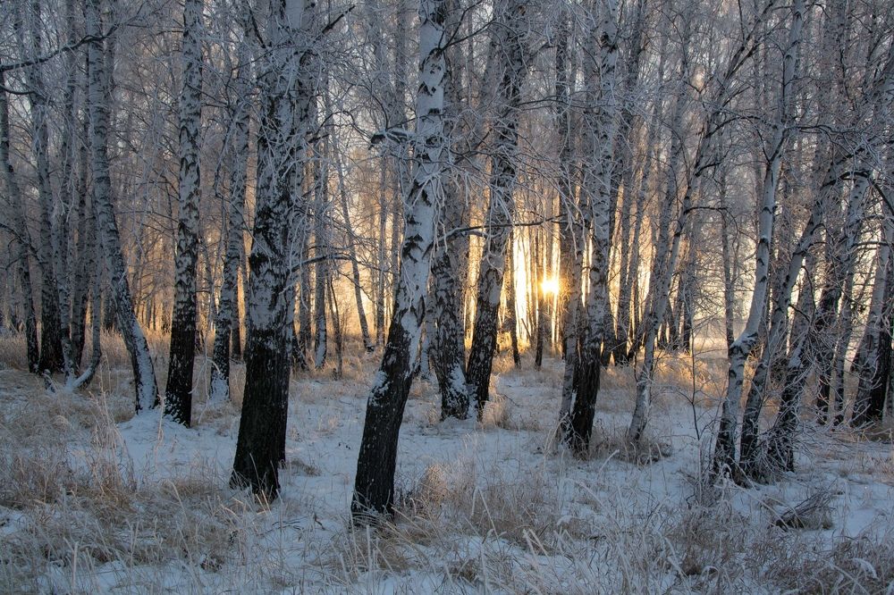 Photograph by Евгения Антропова