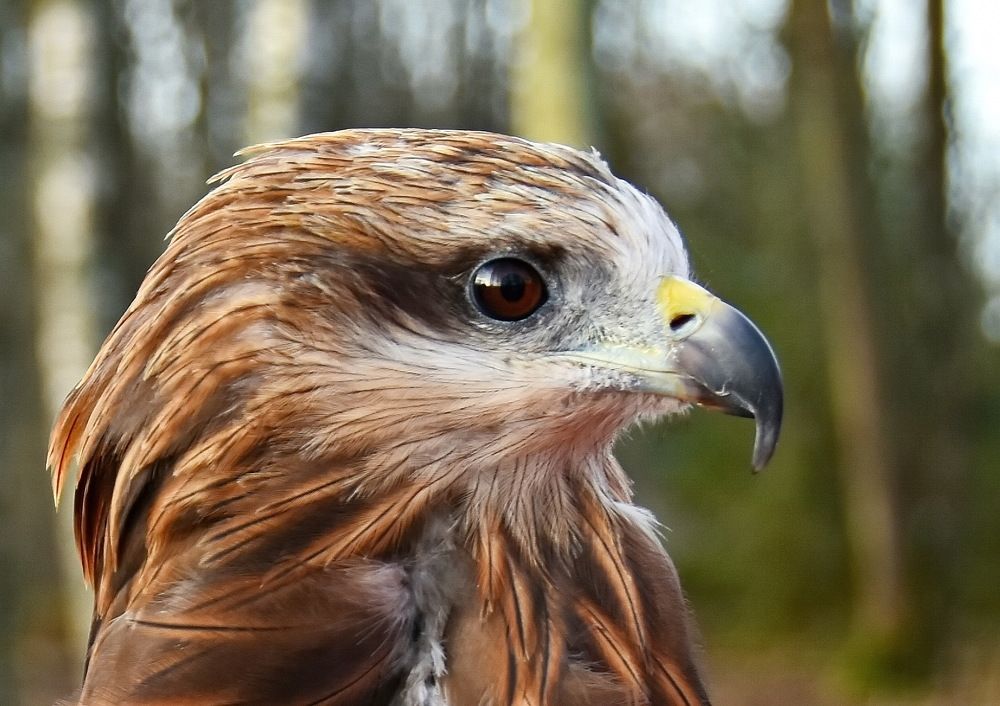 Photograph by Лидия Ушакова