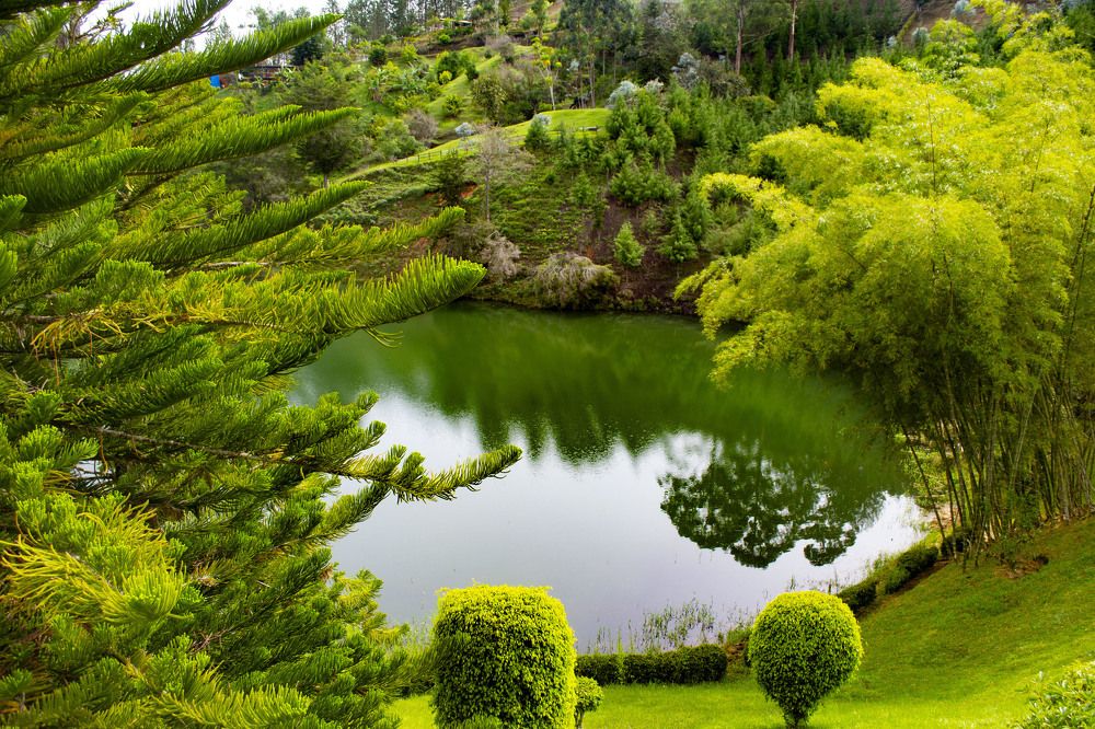 Фотография автора Yako Laverde