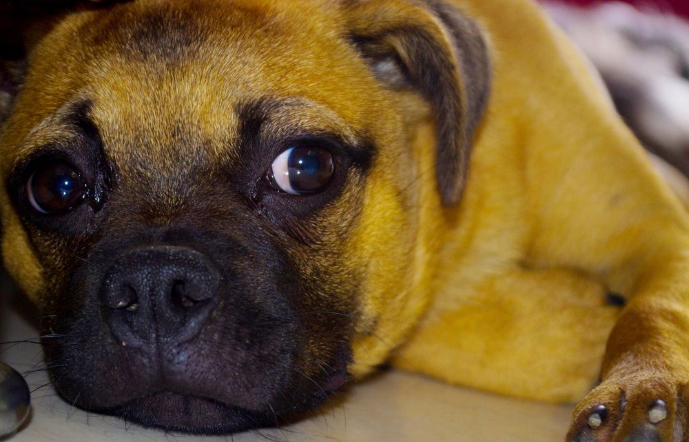 Фотография автора Yako Laverde