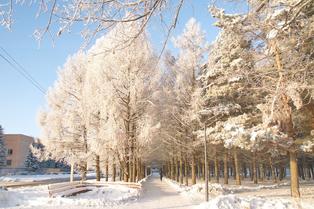 Photograph by Надежда Михайлина