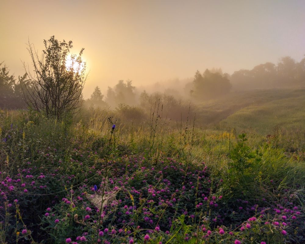 Photograph by Светлана Кондрашова