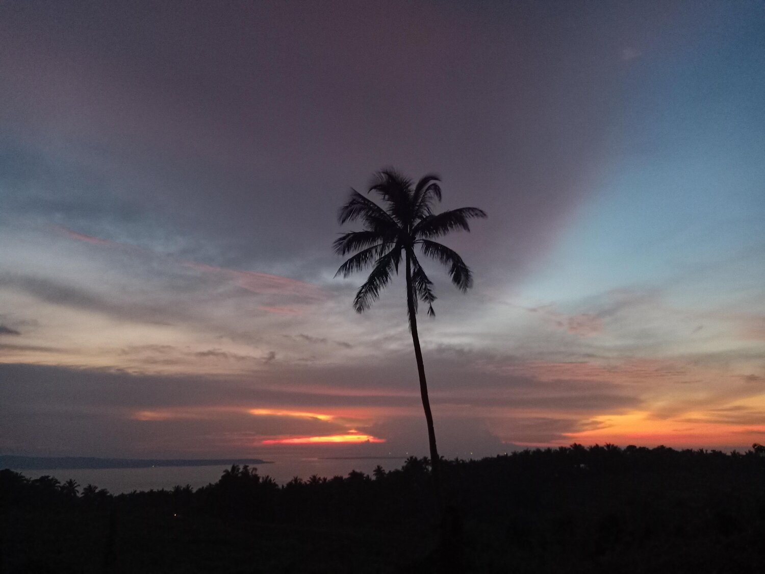 Photo #5566715