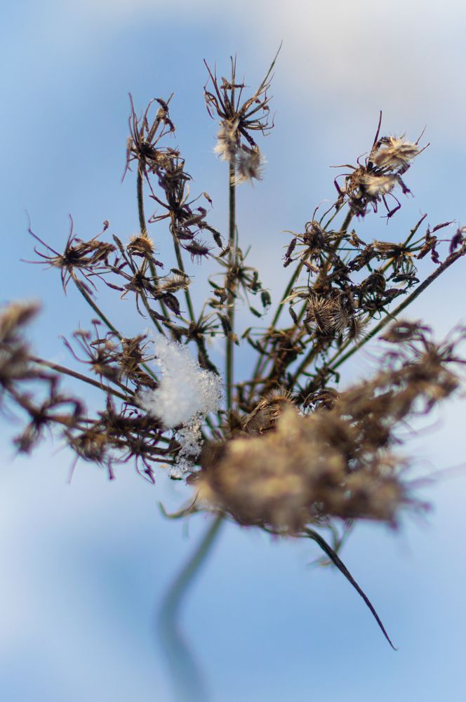 Photograph by Алексей Крукович