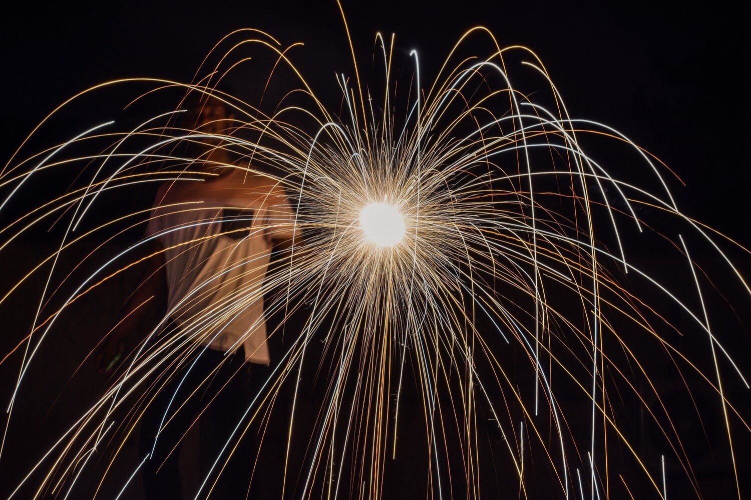 Photo #5566821