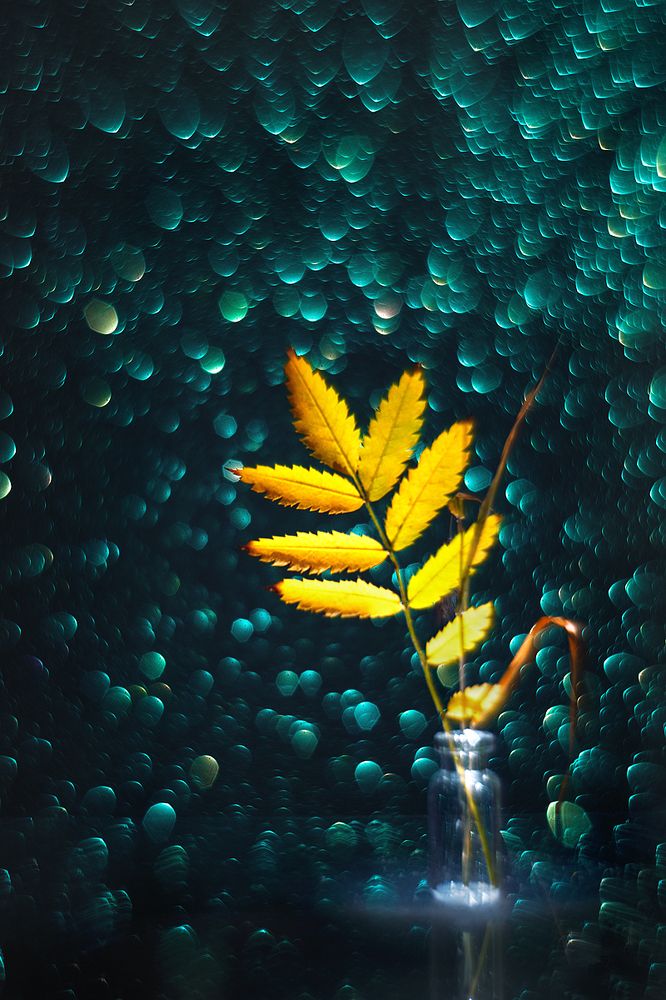 Октябрьским вечером темно и тихо...