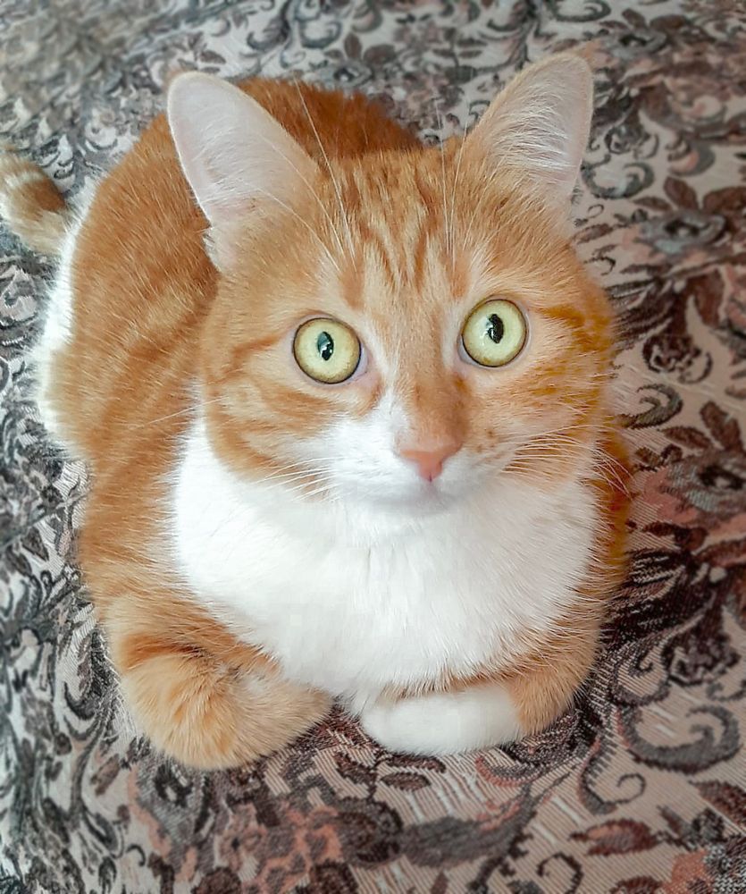 Photograph by Марина Суворова