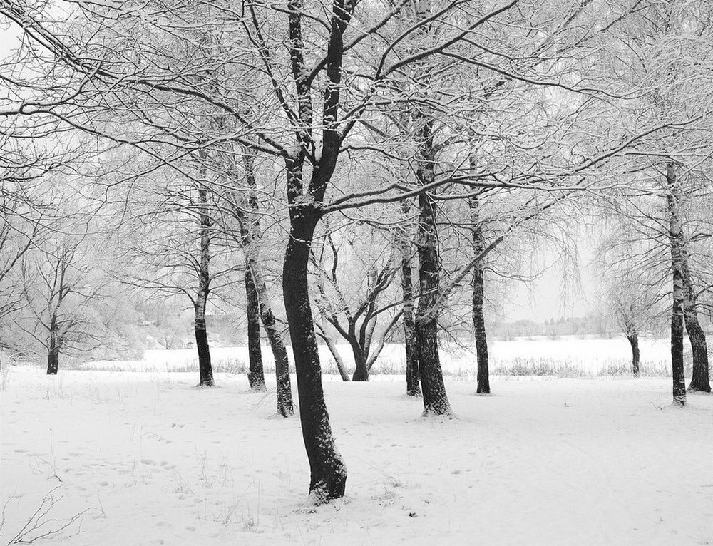 Photograph by Игорь Меньшенин