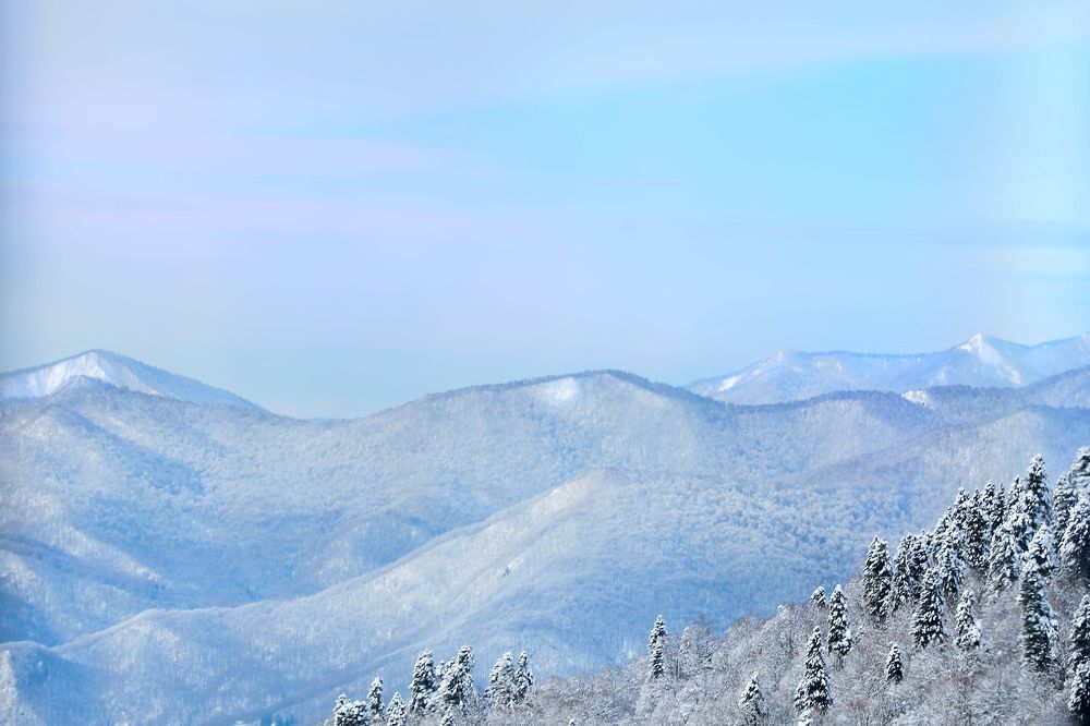 Photograph by Екатерина Рекина