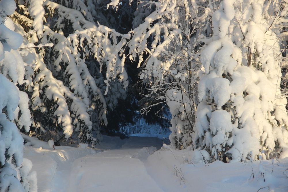 Photograph by Макарова Татьяна