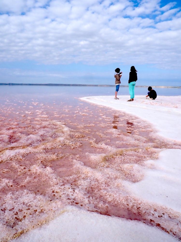 Photograph by Екатерина Шмелева