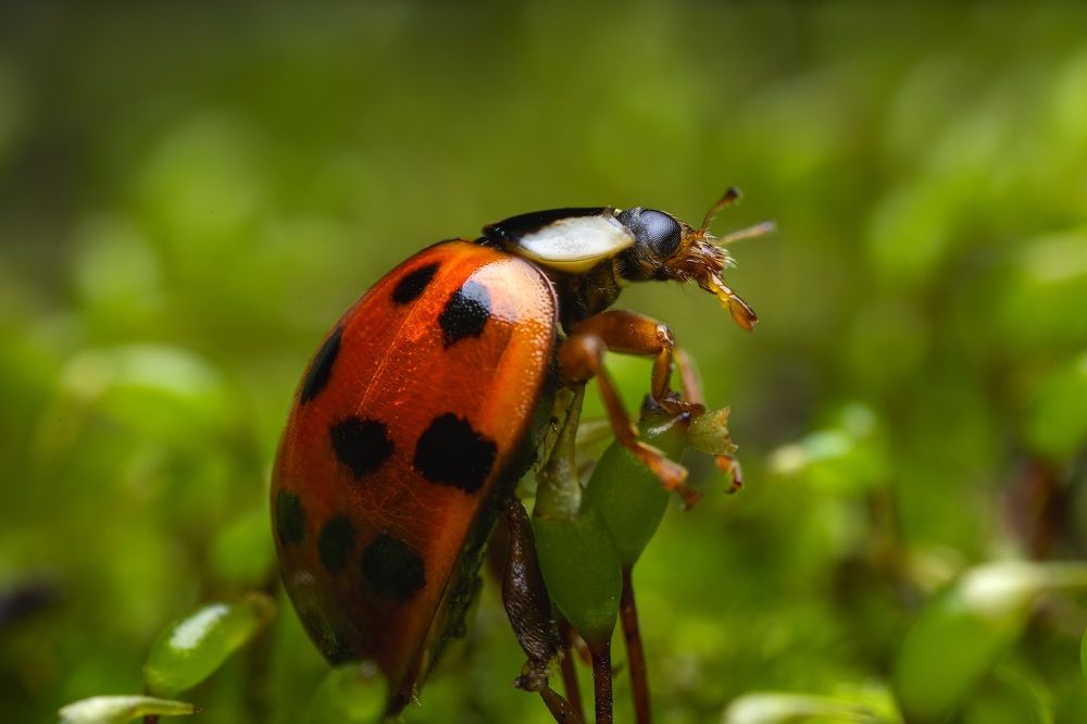 Фотография автора Dolli Pogrebnaya