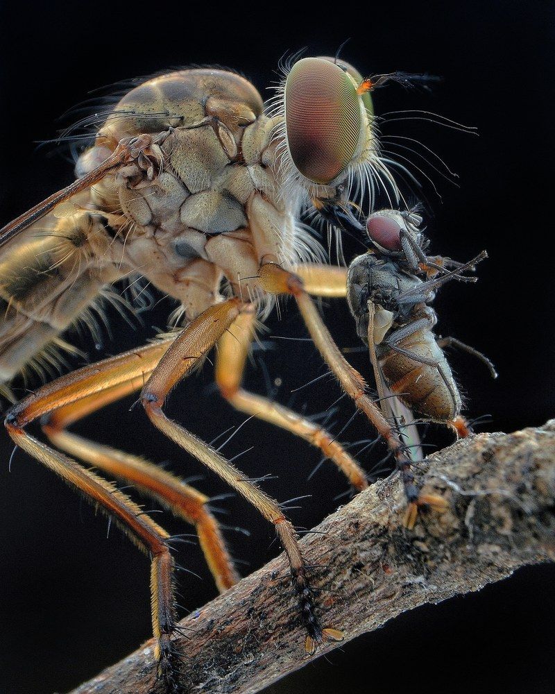 Photograph by Anjazz Santoz