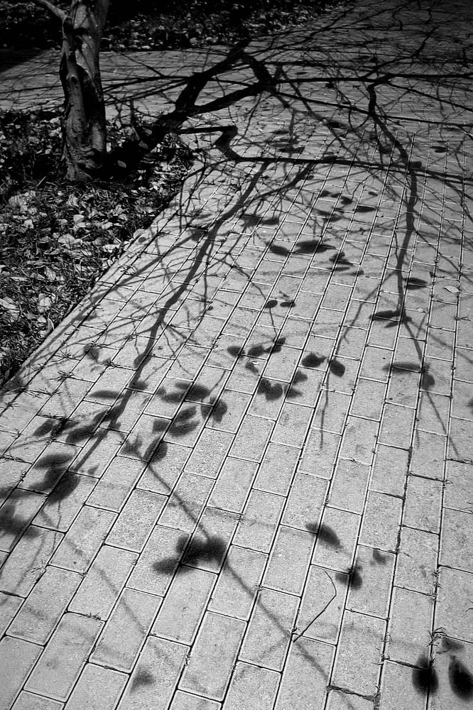 Photograph by Анна Сохрякова