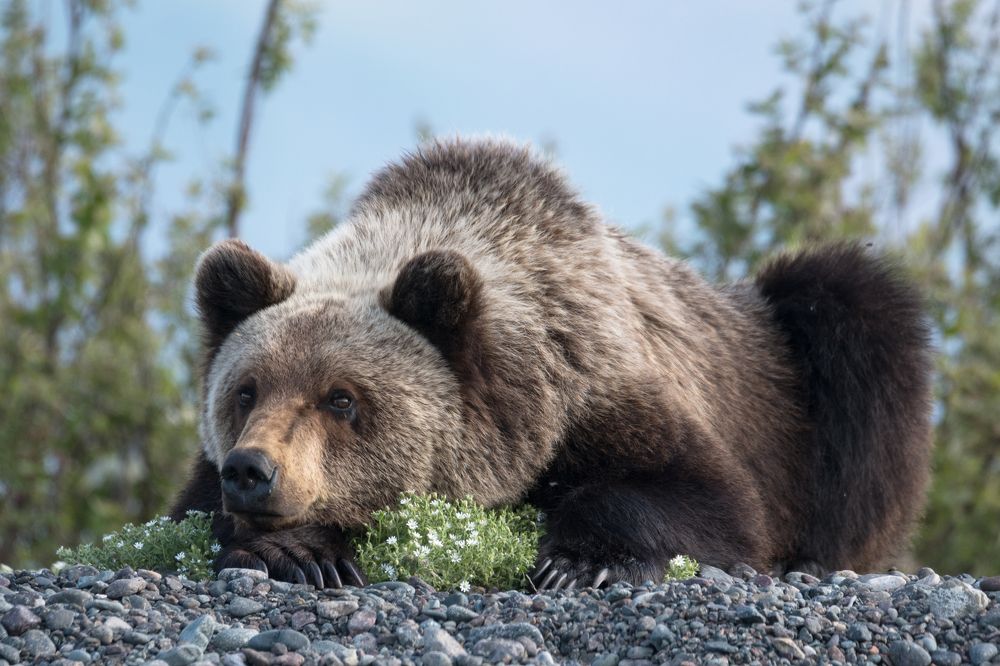 Байкальский философ