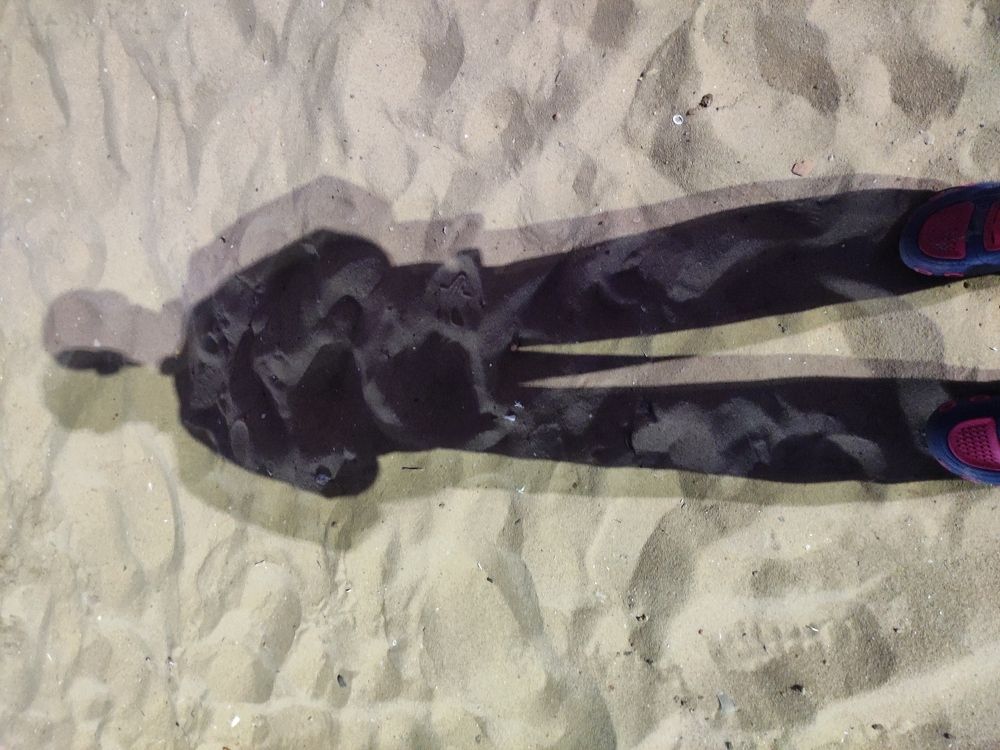 Photograph by Partho Kundu