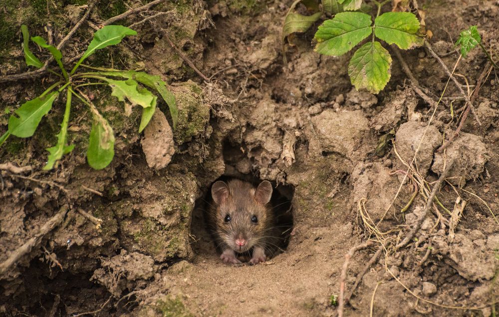 Добро пожаловать