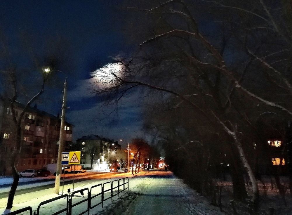 Photograph by Анастасия Прейс