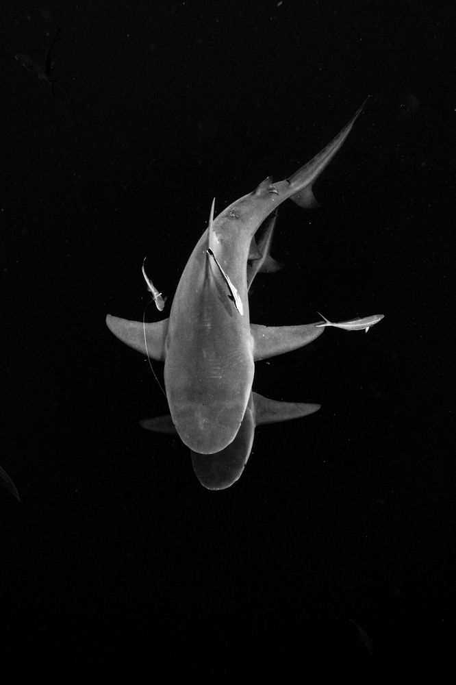 Photograph by Mizael Palomeque