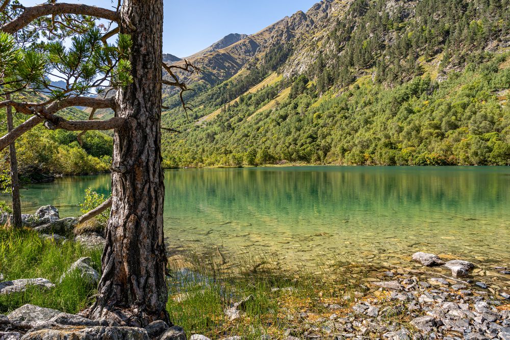 Бадукское озеро