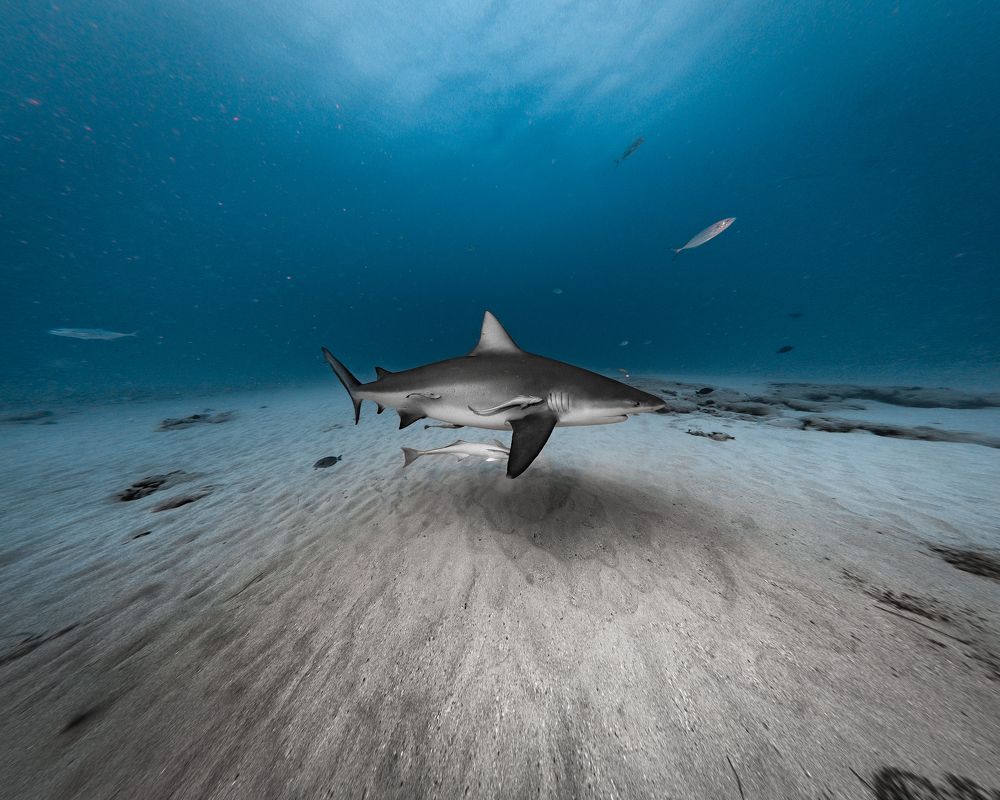 Photograph by Mizael Palomeque