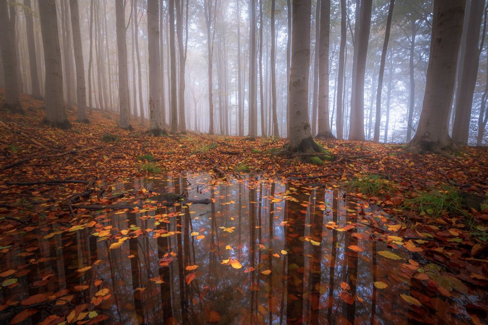 Photograph by Luboš Prchal