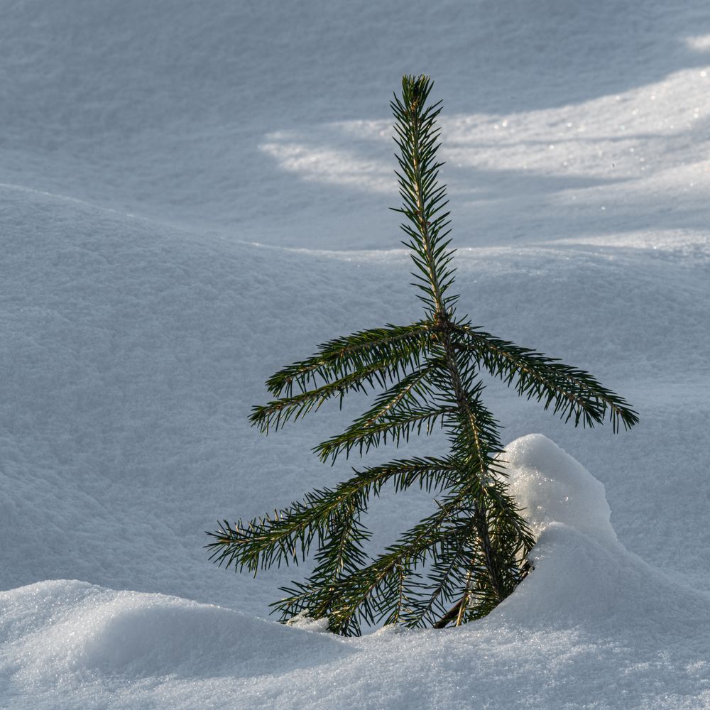 Photograph by Андрей Иванов
