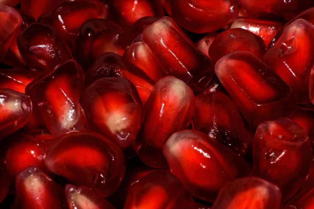 Photograph by Volkoff Mark