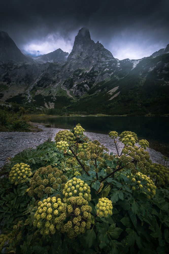 Photograph by Luboš Prchal