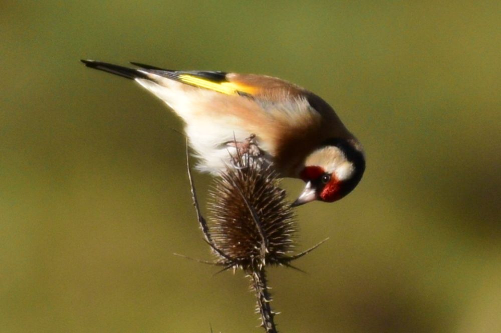 Photograph by Danijel