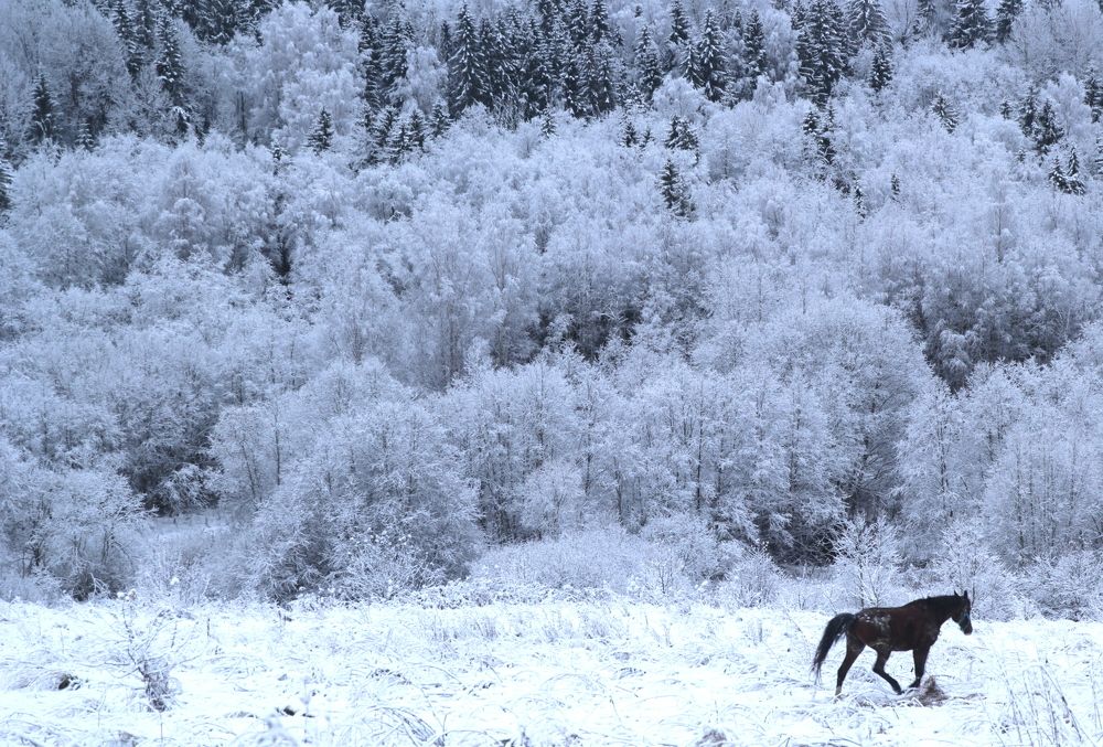 Photograph by Екатерина Шмелева
