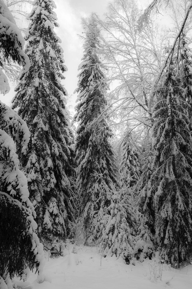 Photograph by Вадим Кондрат