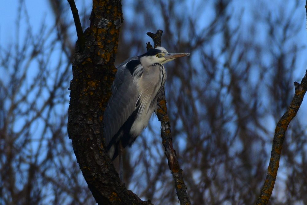 Photograph by Danijel