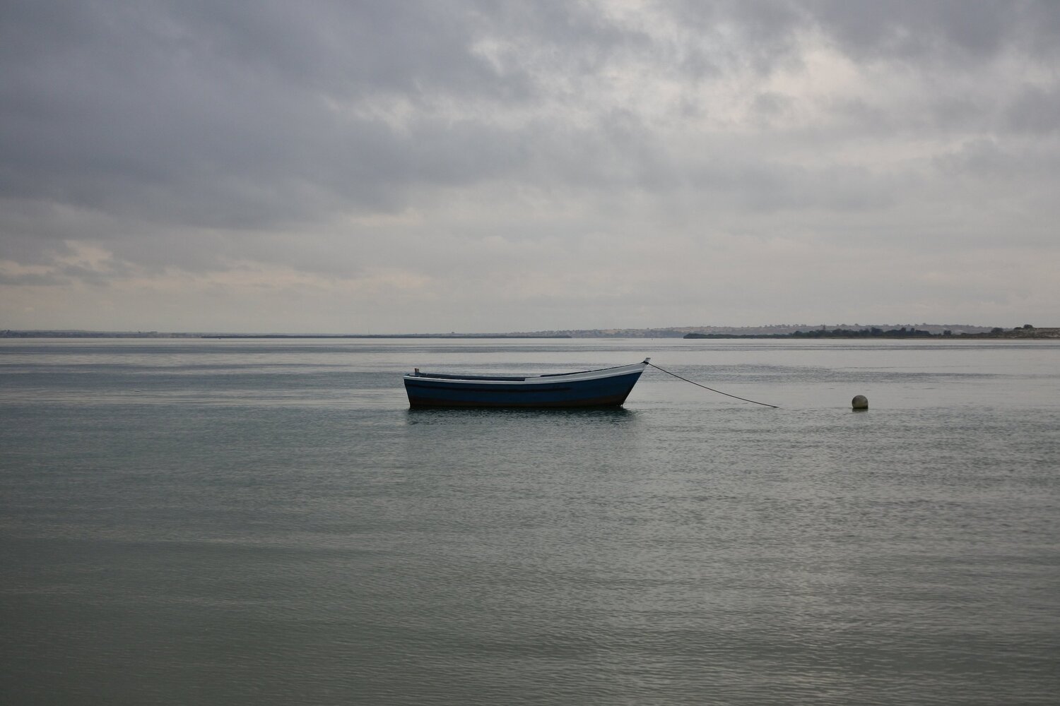 Photo #5567678