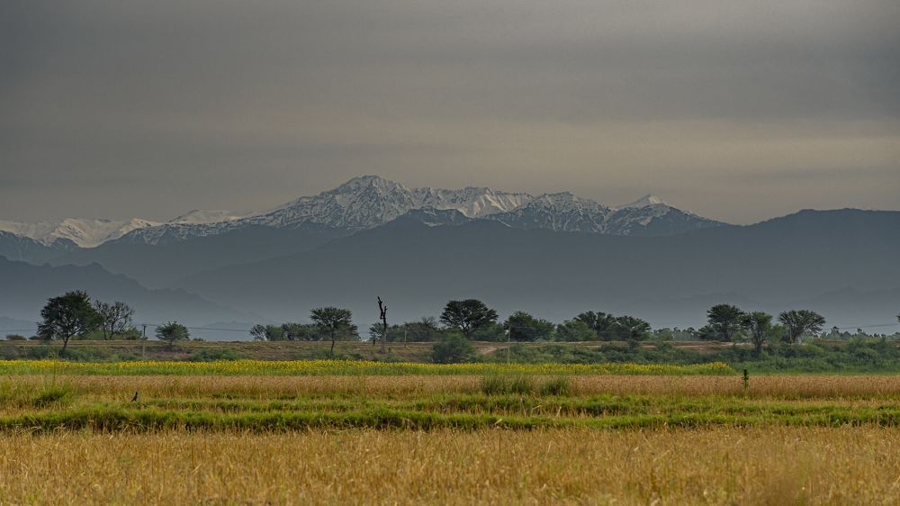 Pir-Panjal Range, Kashmir