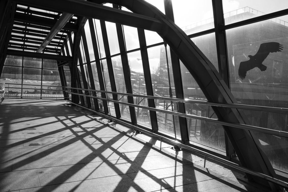 Photograph by Михаил Серебренников