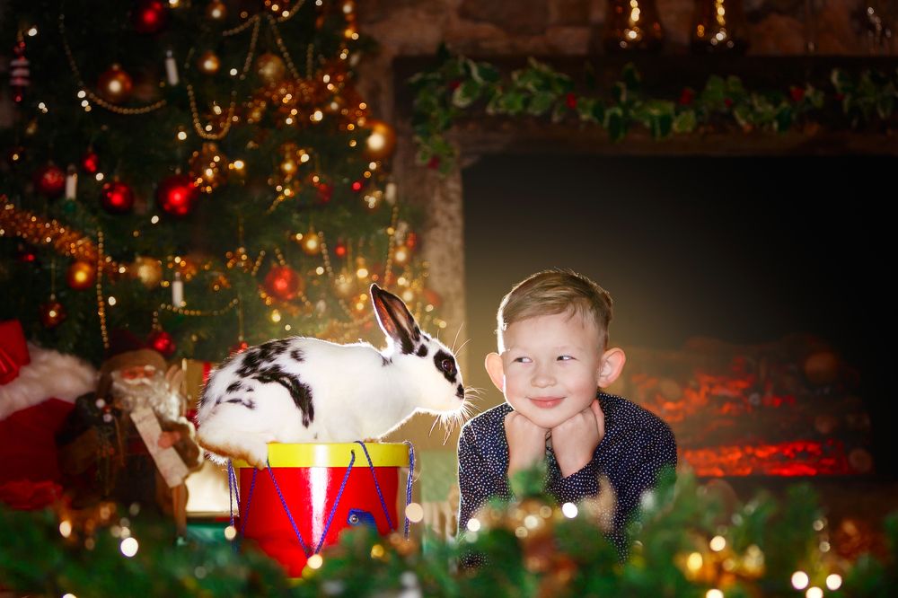 Photograph by Renate Tompsone